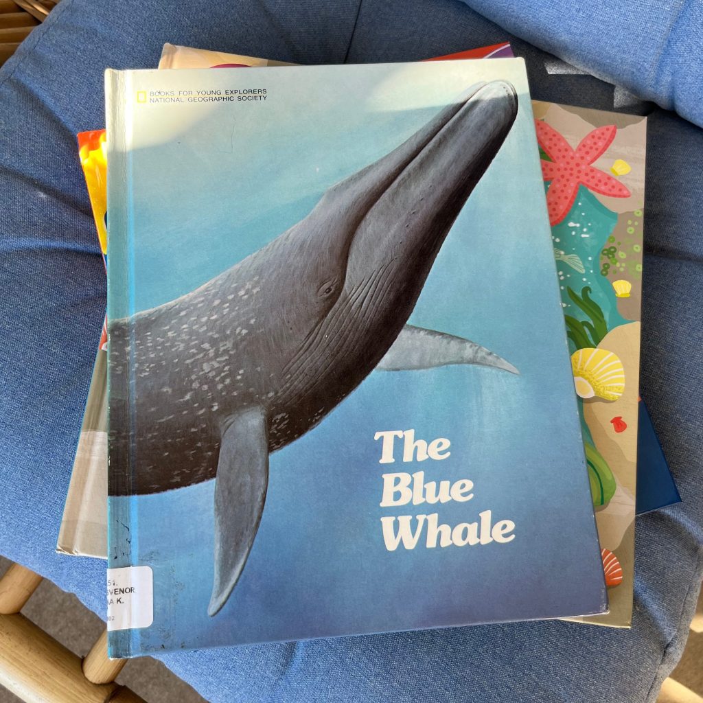 Marine-Themed Children’s Books: Part&nbsp;1