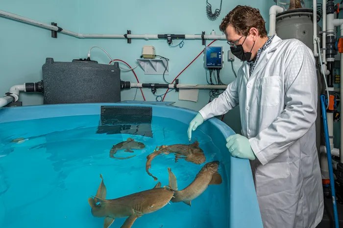 Changing Labs in Grad School: What I Learned the Hard&nbsp;Way